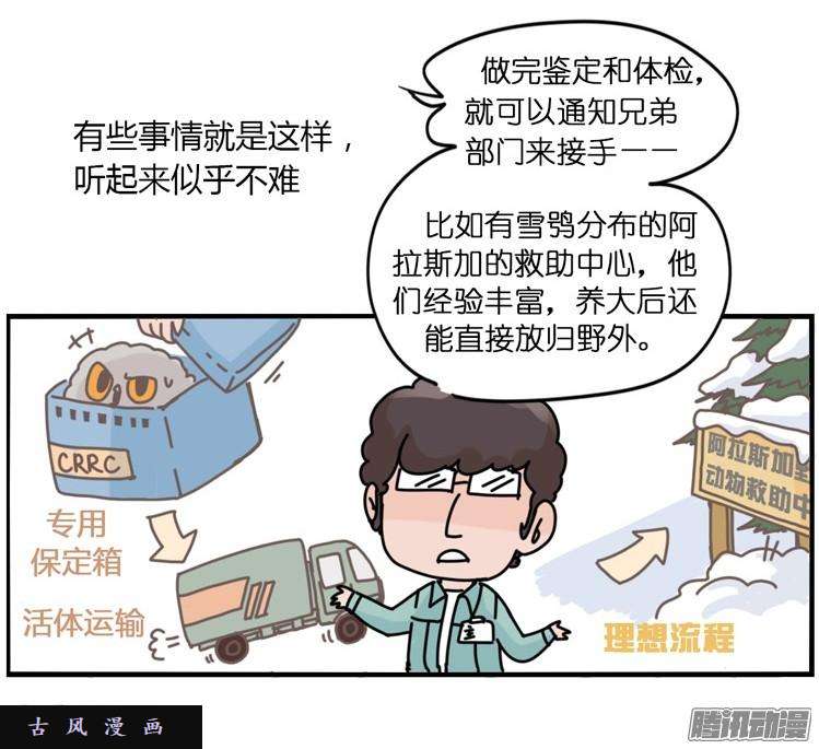 进化之基飞吧小少爷：现实问题