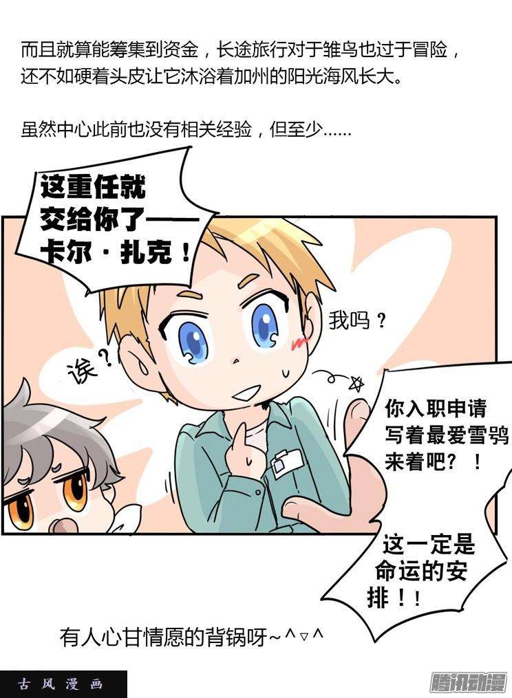 进化之基飞吧小少爷：现实问题