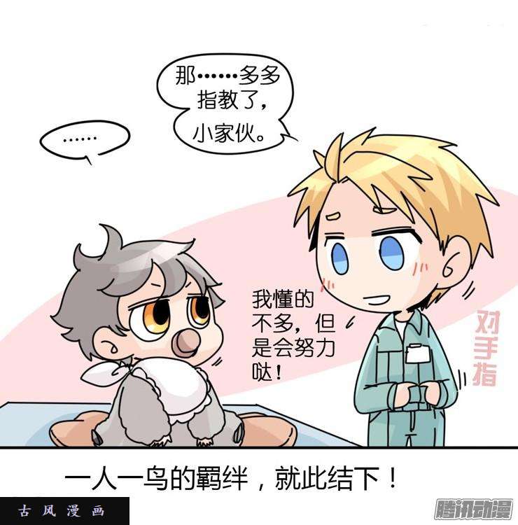 进化之基飞吧小少爷：现实问题