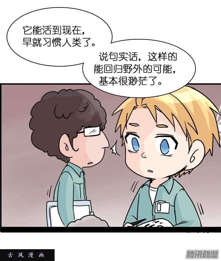 进化之基飞吧小少爷：万事开头难