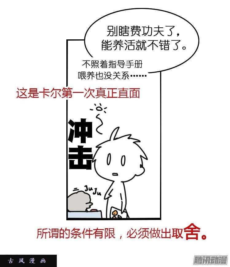 进化之基飞吧小少爷：万事开头难