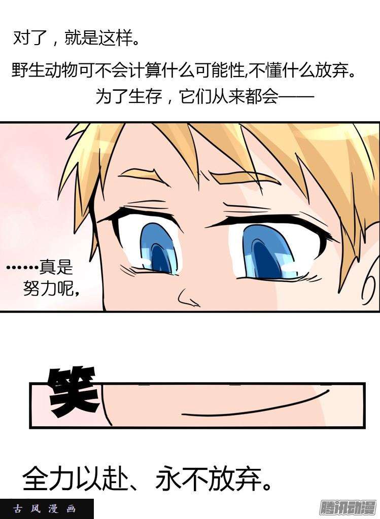 进化之基飞吧小少爷：万事开头难
