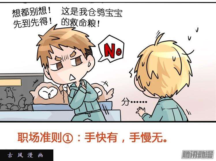 进化之基飞吧小少爷：万事开头难
