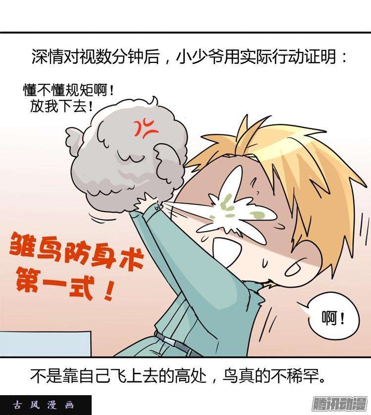 进化之基飞吧小少爷：万事开头难