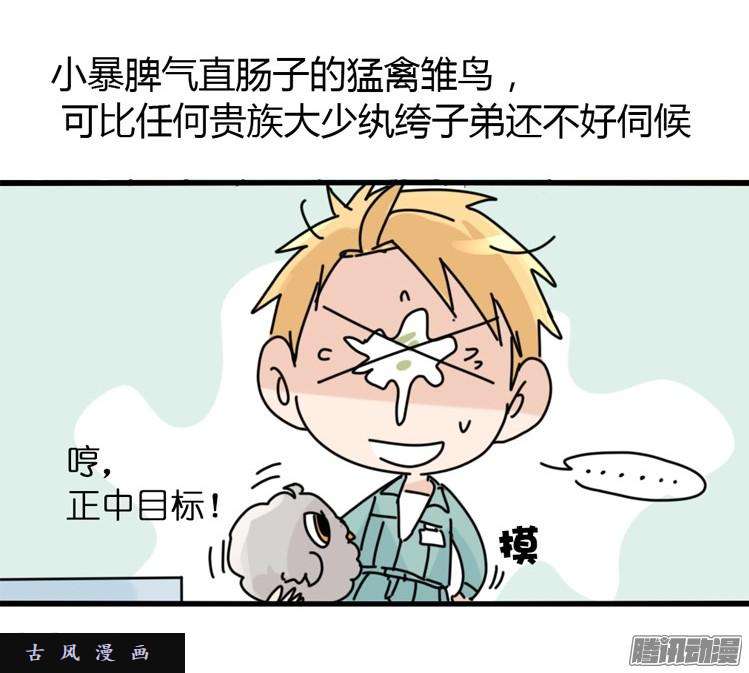 进化之基飞吧小少爷：万事开头难