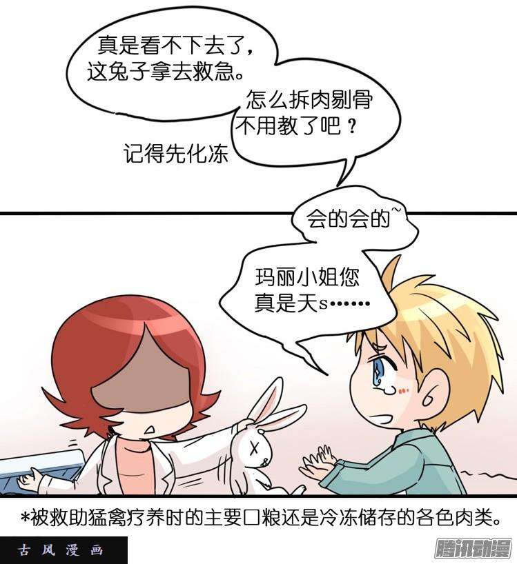 进化之基飞吧小少爷：万事开头难