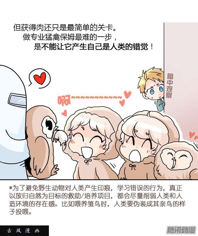 进化之基飞吧小少爷：万事开头难