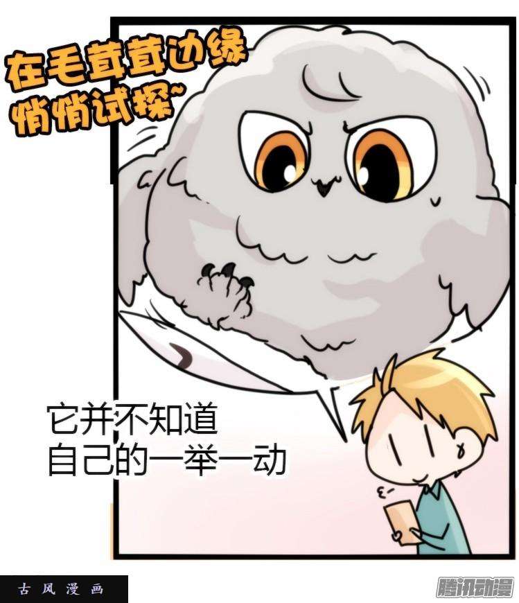 进化之基飞吧小少爷：约定了！