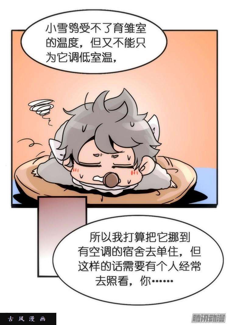 进化之基飞吧小少爷：约定了！