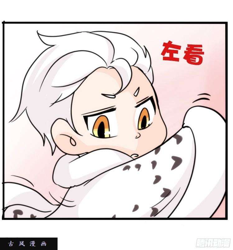 进化之基飞吧小少爷：长大成鸟之后…