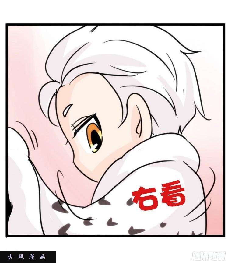 进化之基飞吧小少爷：长大成鸟之后…
