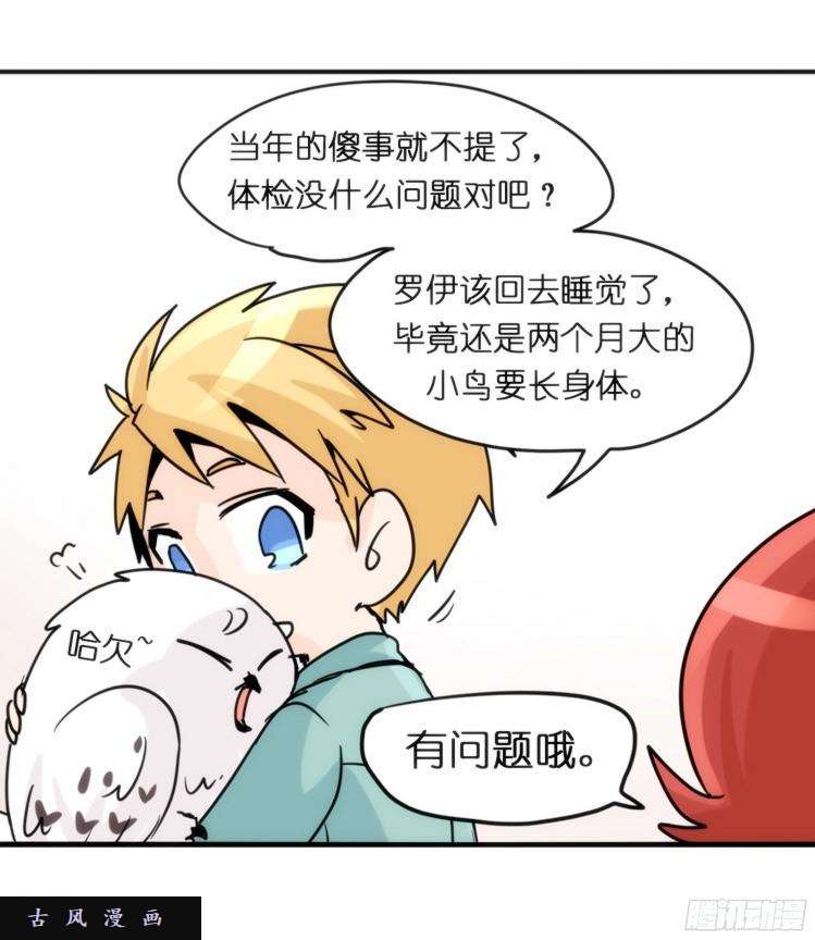 进化之基飞吧小少爷：长大成鸟之后…