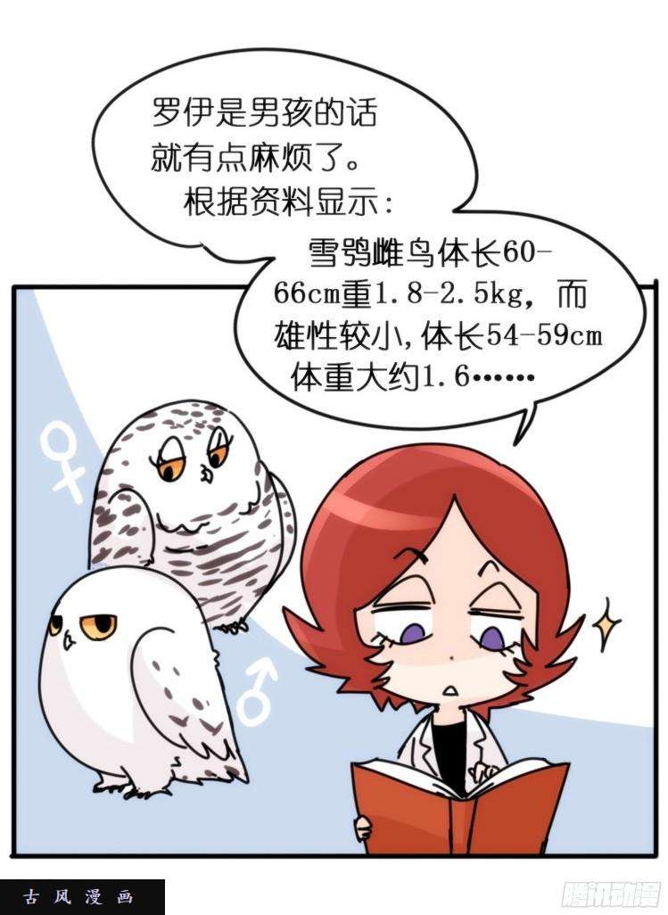 进化之基飞吧小少爷：长大成鸟之后…