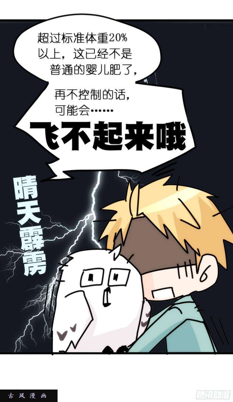 进化之基飞吧小少爷：长大成鸟之后…