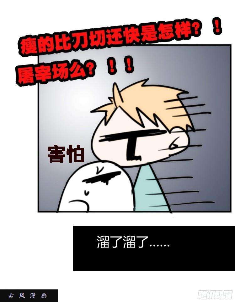 进化之基飞吧小少爷：长大成鸟之后…
