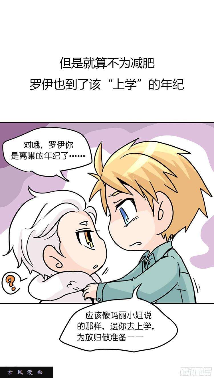 进化之基飞吧小少爷：长大成鸟之后…
