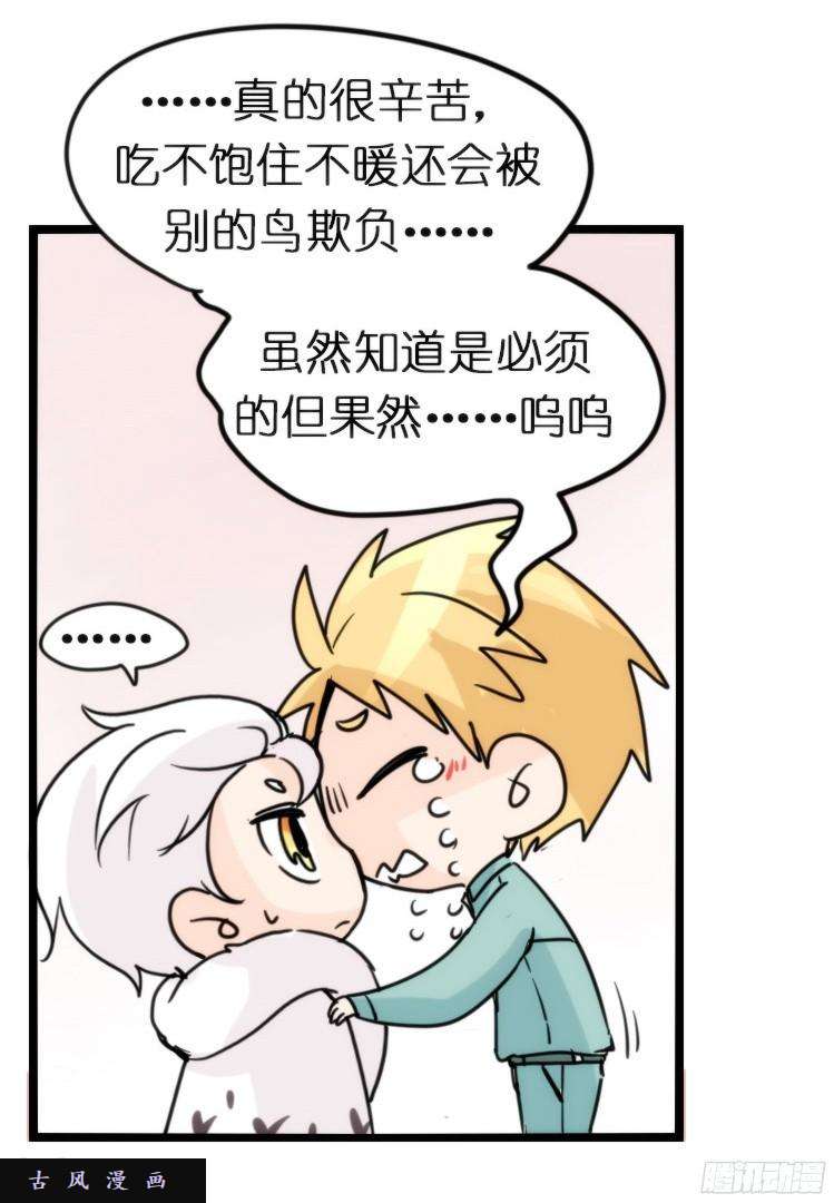 进化之基飞吧小少爷：长大成鸟之后…