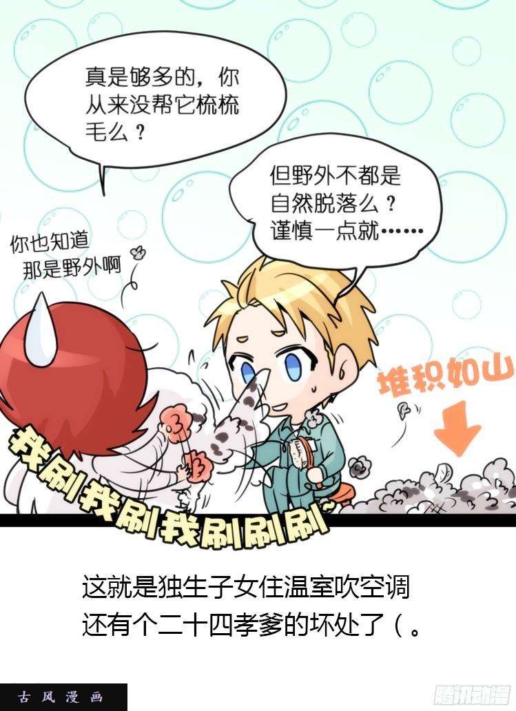 进化之基飞吧小少爷：长大成鸟之后…