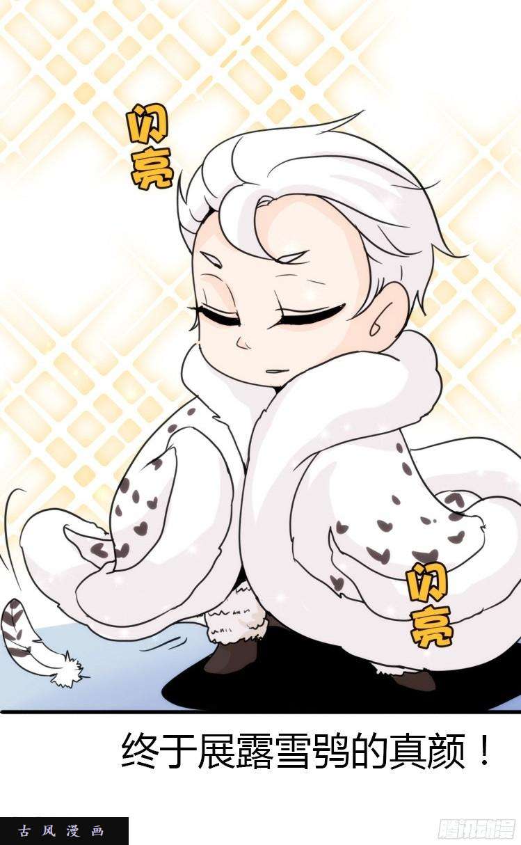进化之基飞吧小少爷：长大成鸟之后…