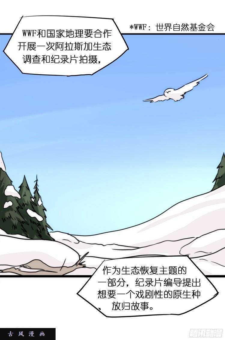 进化之基飞吧小少爷：走吧，一起话家