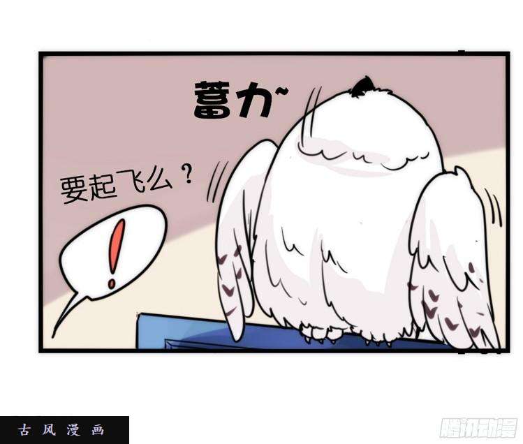 进化之基飞吧小少爷：走吧，一起话家