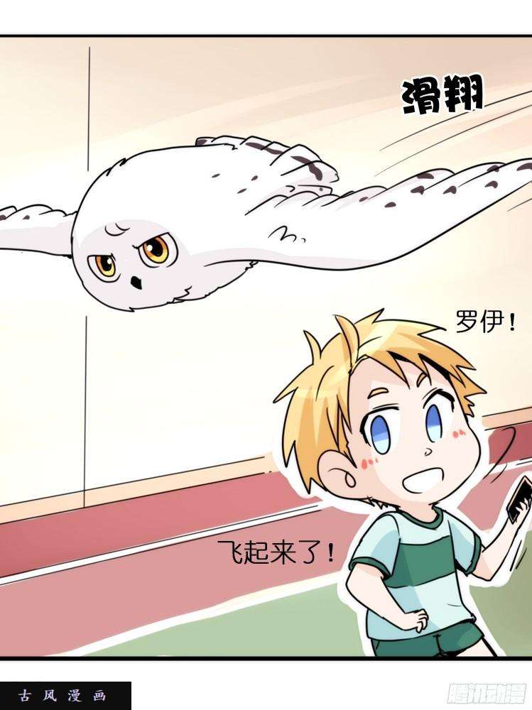 进化之基飞吧小少爷：走吧，一起话家
