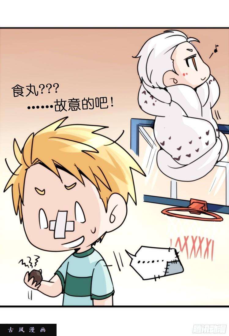 进化之基飞吧小少爷：走吧，一起话家