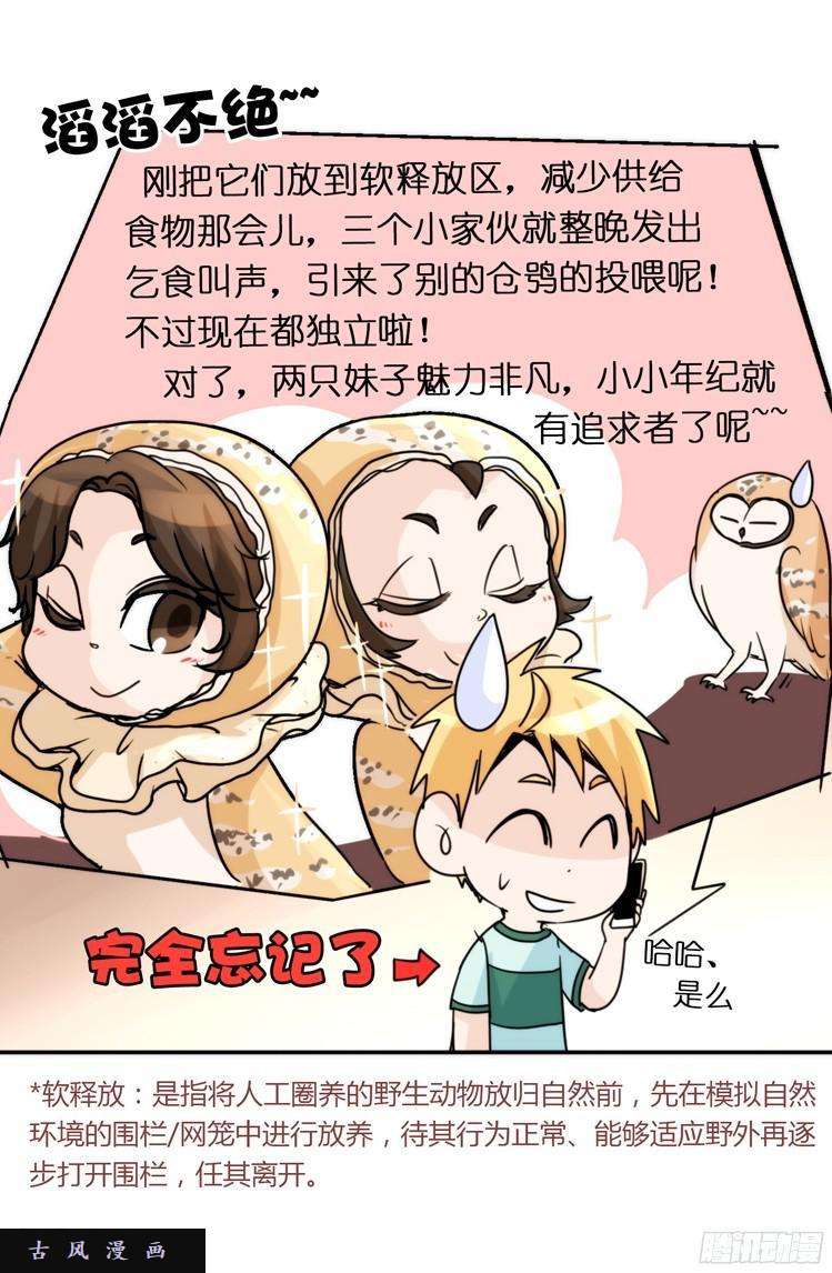 进化之基飞吧小少爷：走吧，一起话家