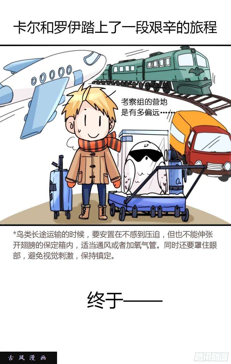 进化之基飞吧小少爷：这、这就是传说中的—