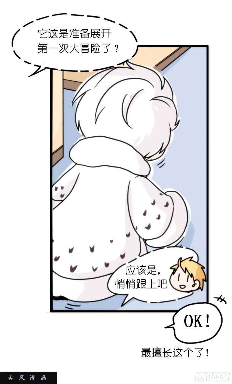 进化之基飞吧小少爷：这、这就是传说中的—