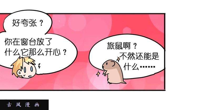 进化之基飞吧小少爷：这、这就是传说中的—