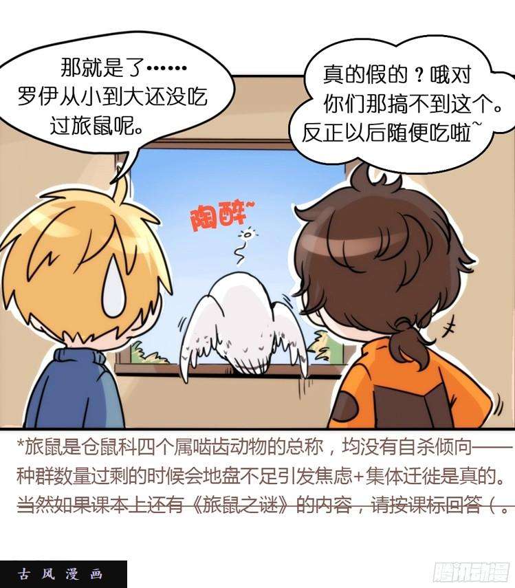 进化之基飞吧小少爷：这、这就是传说中的—