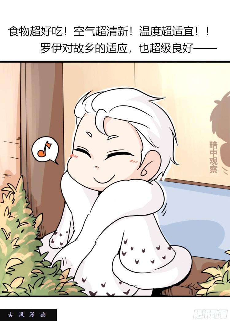 进化之基飞吧小少爷：这、这就是传说中的—