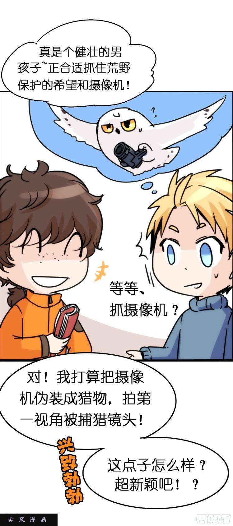 进化之基飞吧小少爷：这、这就是传说中的—