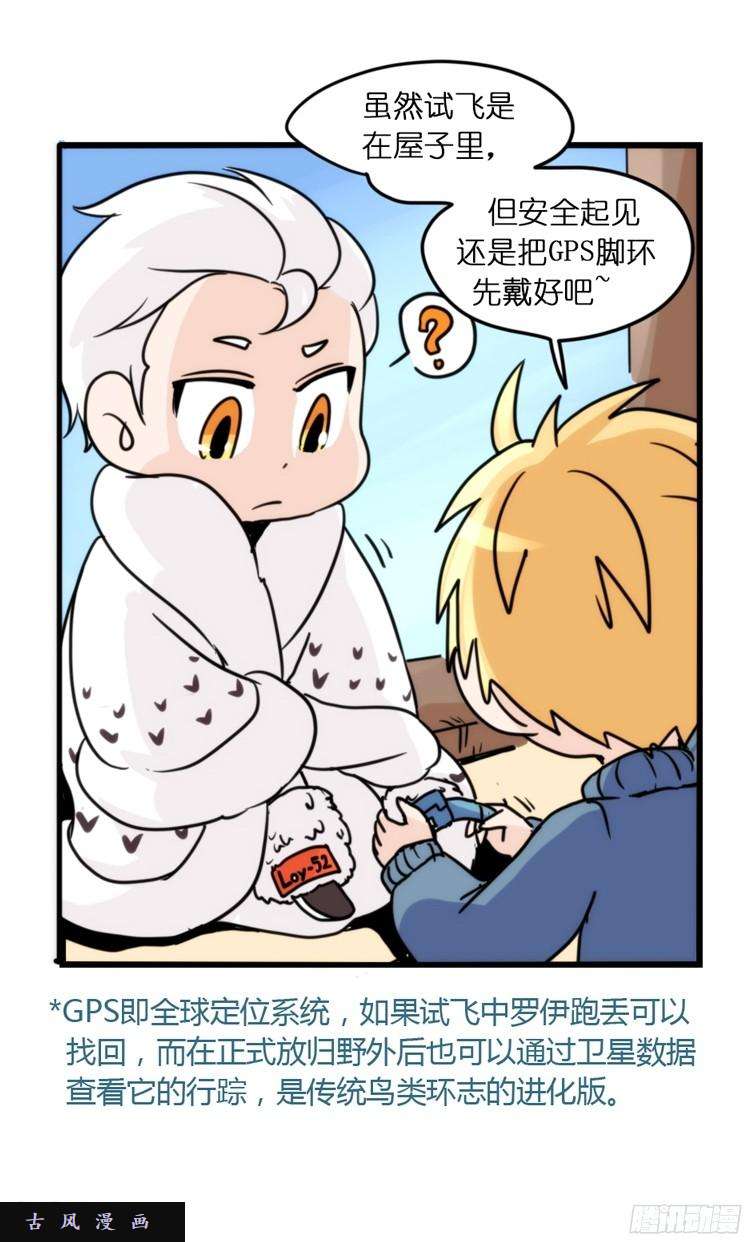 进化之基飞吧小少爷：这、这就是传说中的—