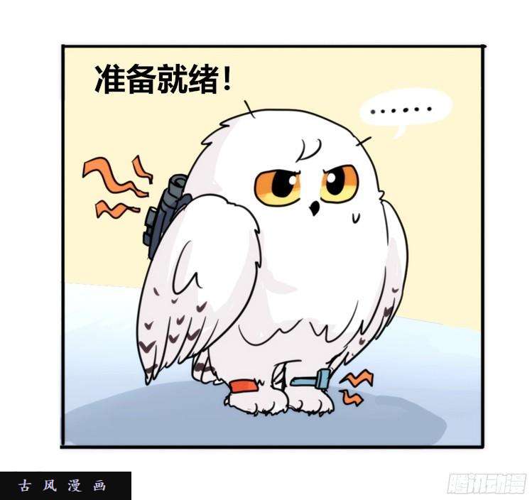 进化之基飞吧小少爷：这、这就是传说中的—