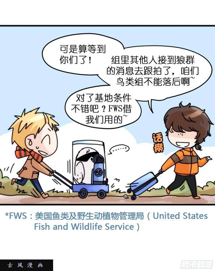 进化之基飞吧小少爷：这、这就是传说中的—