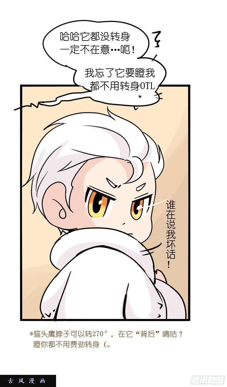 进化之基飞吧小少爷：这、这就是传说中的—