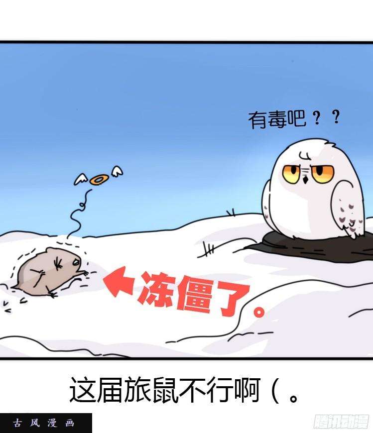 进化之基飞吧小少爷：超凶的！