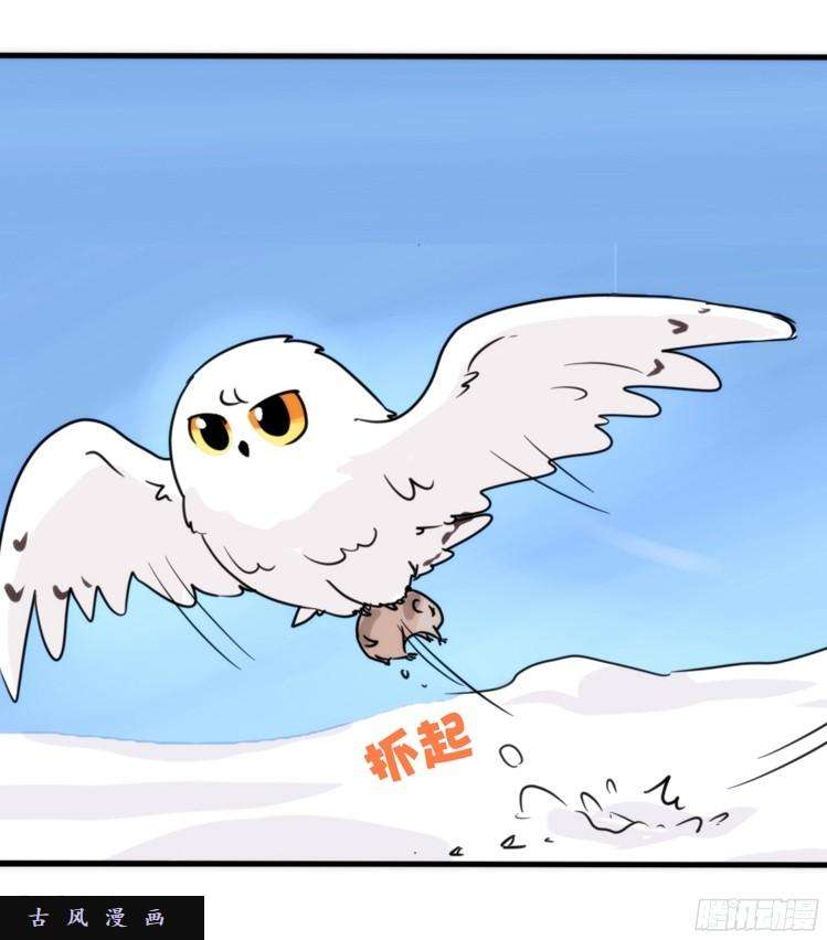 进化之基飞吧小少爷：超凶的！