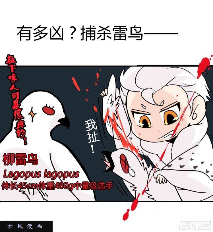 进化之基飞吧小少爷：超凶的！