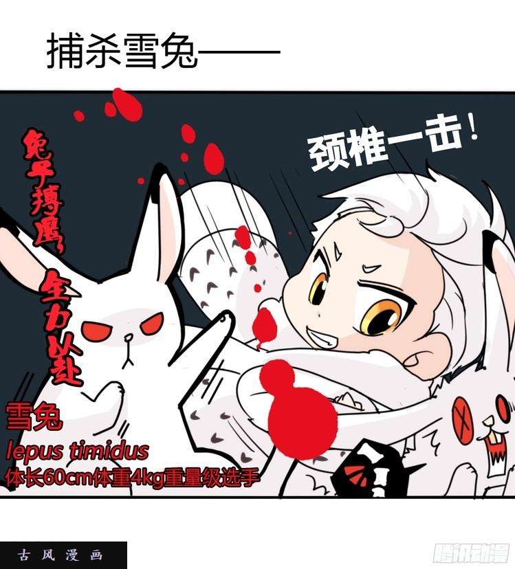 进化之基飞吧小少爷：超凶的！