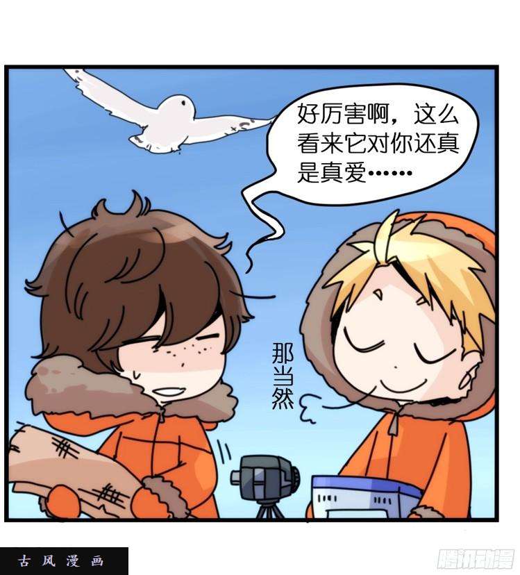进化之基飞吧小少爷：超凶的！