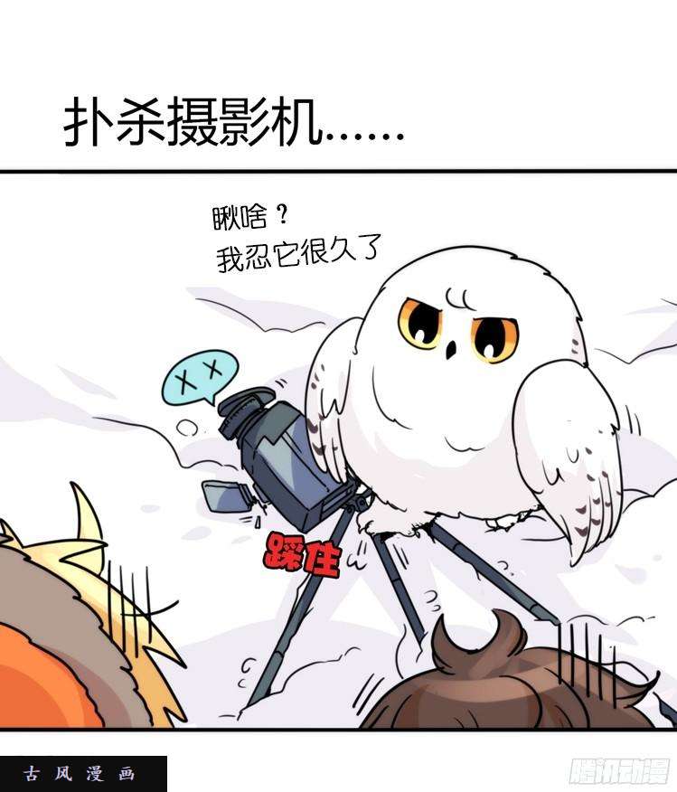 进化之基飞吧小少爷：超凶的！