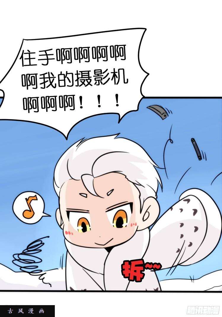 进化之基飞吧小少爷：超凶的！