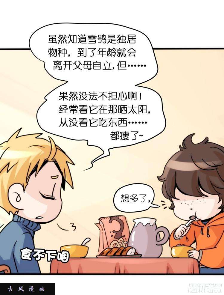 进化之基飞吧小少爷：超凶的！