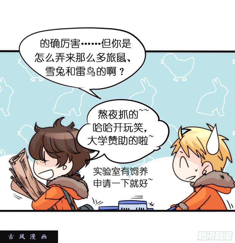 进化之基飞吧小少爷：超凶的！