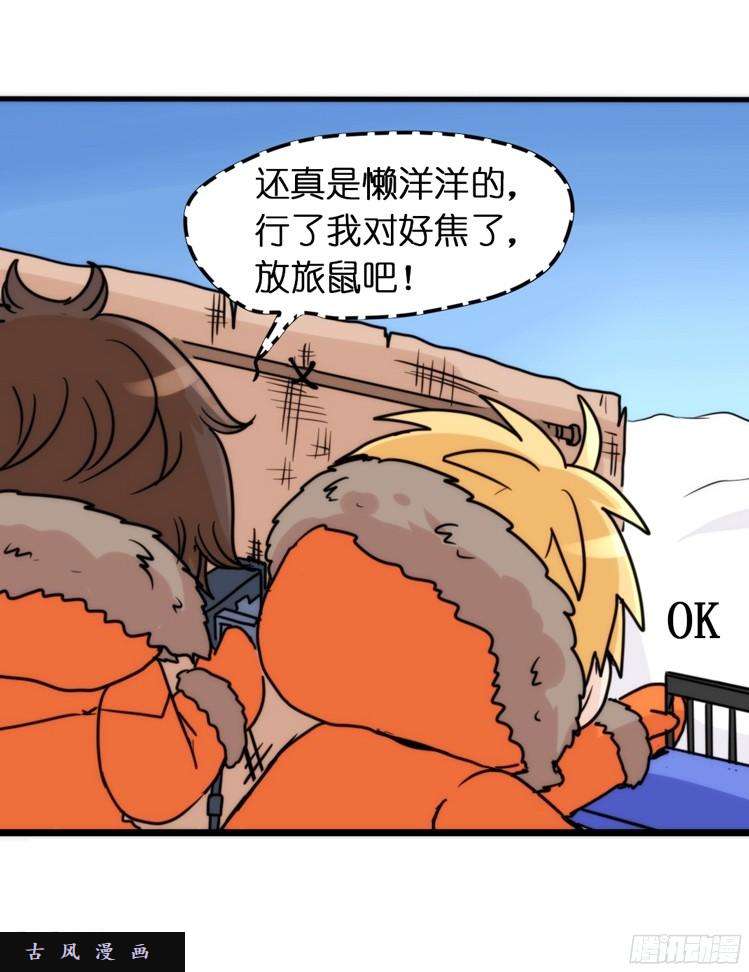 进化之基飞吧小少爷：超凶的！