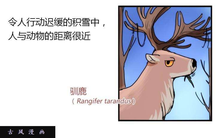 进化之基飞吧小少爷：笑一个吧小少爷