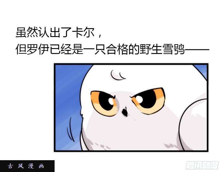 进化之基飞吧小少爷：笑一个吧小少爷